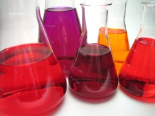 STEM-Year of Science